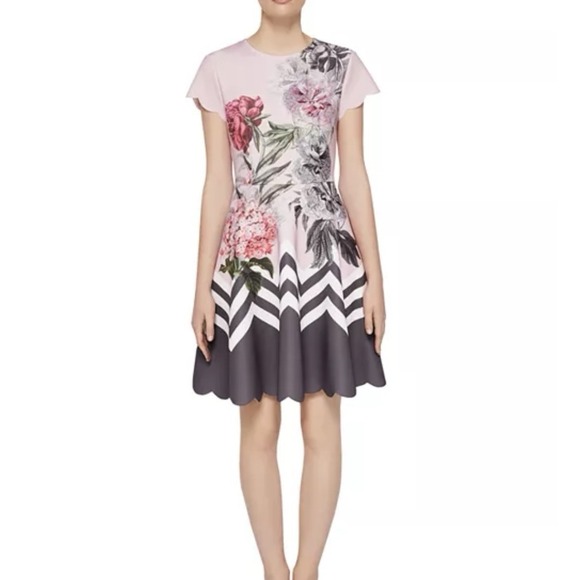 Ted Baker Pink Floral Palace Gardens Hailie Flare Dress Pockets Ted Size 0 US 2 - Picture 2 of 16